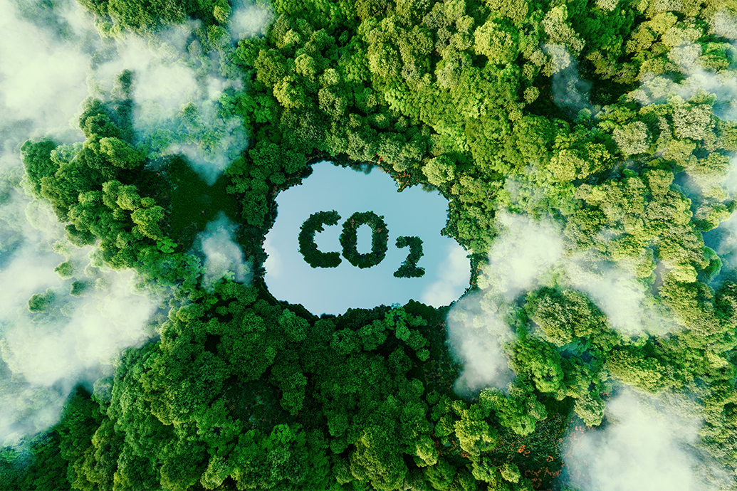 CO2_reduction.jpg